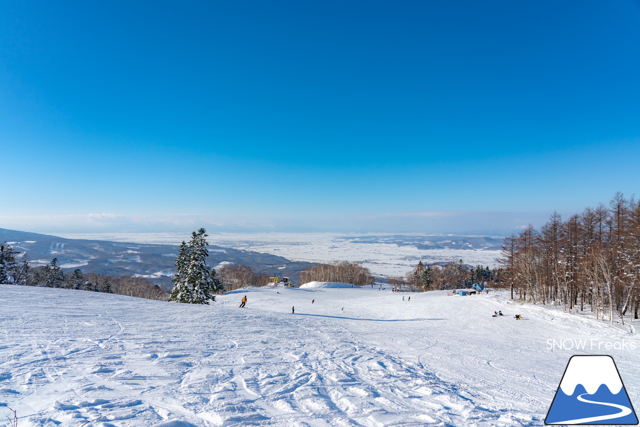 カムイスキーリンクス｜2024年の初滑りは、積雪豊富でコンディション抜群。日本最北のゴンドラリフトがある、旭川市のカムイスキーリンクスへ！